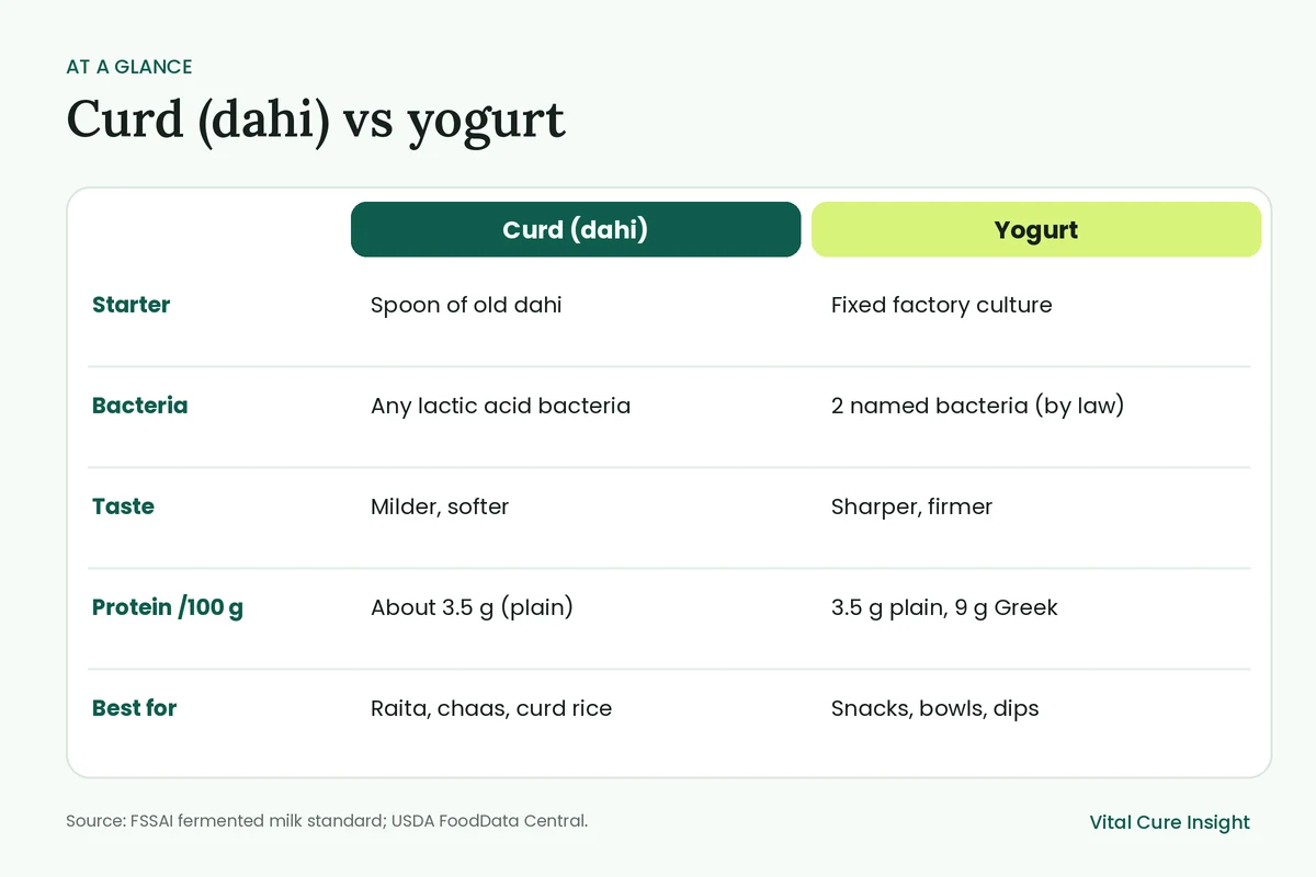 Comparison chart of curd vs yogurt: starter, bacteria, taste, protein per 100 g and best uses