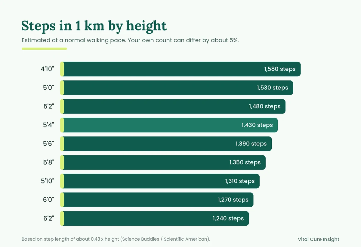 Chart of steps in 1 km by height and 10000 steps in km, from about 1,580 steps per km at 4 feet 10 inches to 1,240 at 6 feet 2 inches